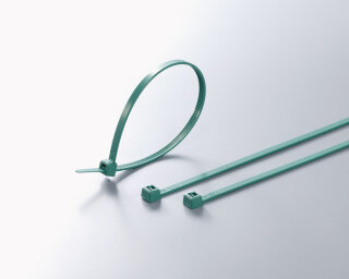 HellermannTyton - 111-01377 - Kabelbinder detektierbar 100x2,5 mm, metallhaltig, mintgrün