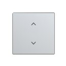 Busch-Jaeger - 2CKA006220A0990 - Wippe 1-fach, mit Symbol...