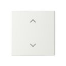 Busch-Jaeger - 2CKA006220A0984 - Wippe 1-fach, mit Symbol...