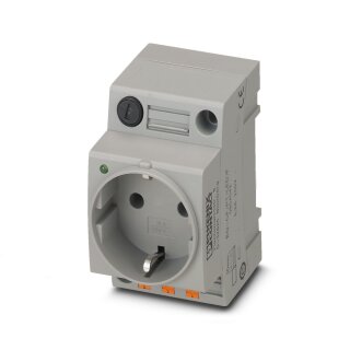 Steckdose EO-CF/PT/LED/F 6 A 250 V AC mit Leuchtanzeige grau