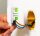 Wall Switch 2