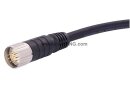 M23 Kabelkonfektionen 12-polig 5 m gerade PVC schwarz