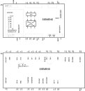 SINAMICS G120C DP 2,2 kW Frequenzumrichter 3AC 380-480 V...