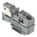 1-Leiter-Potentialausgleichsklemme 2016-7111 Push-in 16 mm² grau