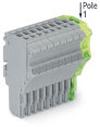 1-Leiter-Federleiste 2020-110/000-036 Push-in CAGE CLAMP...