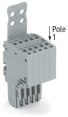 2-Leiter-Federleiste 2020-215/135-000 Push-in CAGE CLAMP...