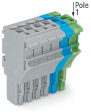 1-Leiter-Federleiste 2022-106 Push-in CAGE CLAMP 4...