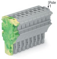 1-Leiter-Federleiste 2022-111 Push-in CAGE CLAMP 4...